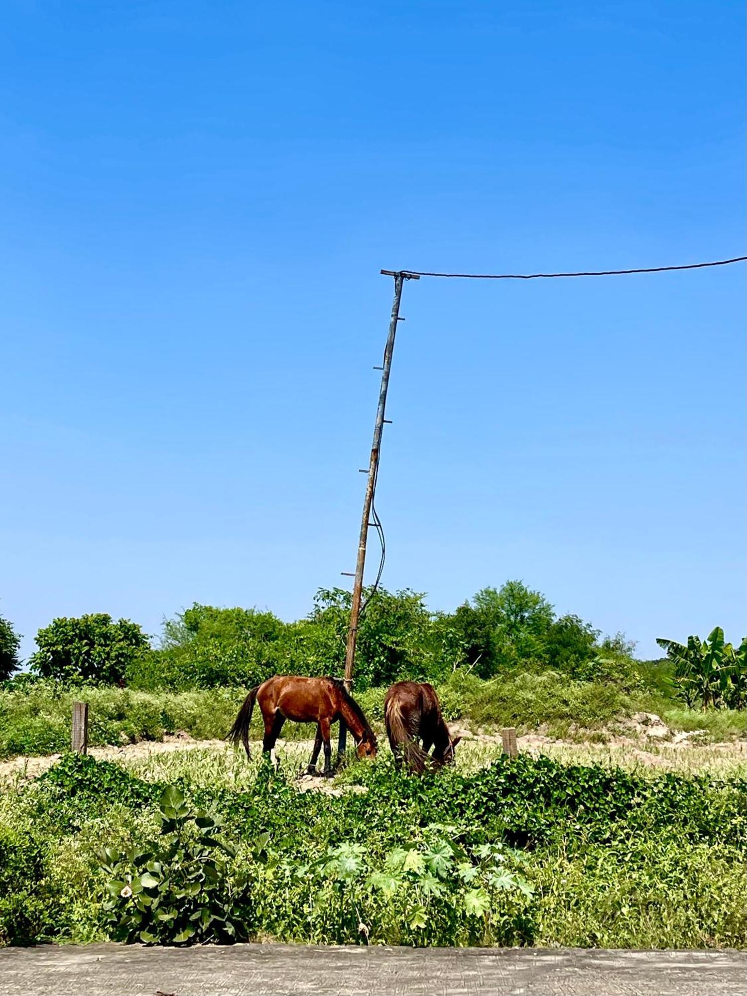 Отель Tekri Farms And Retreat Удджайн Экстерьер фото
